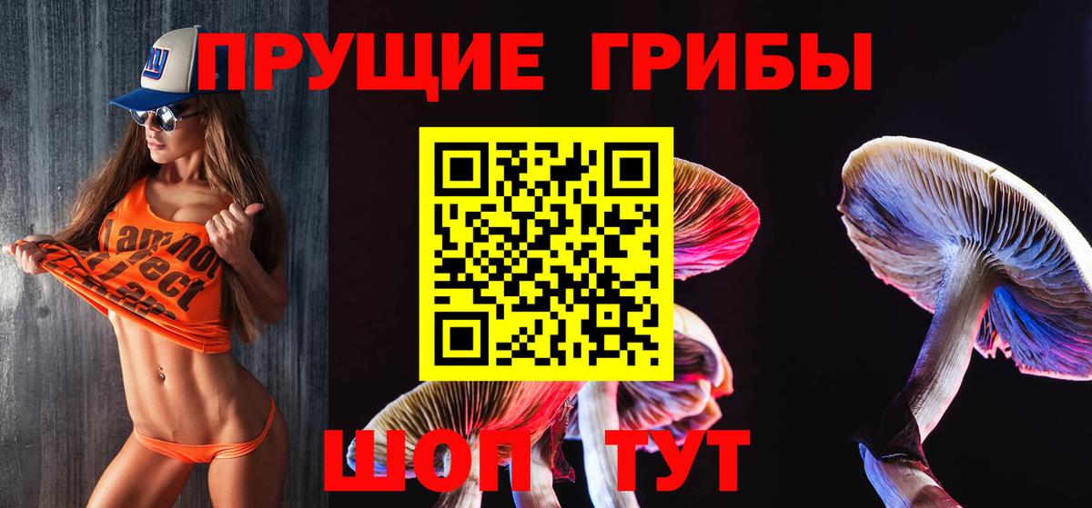 Аксай  Псилоцибиновые грибы Psilocybine cubensis  Псилоцибиновые грибы прущие грибы  Вход с VPN 